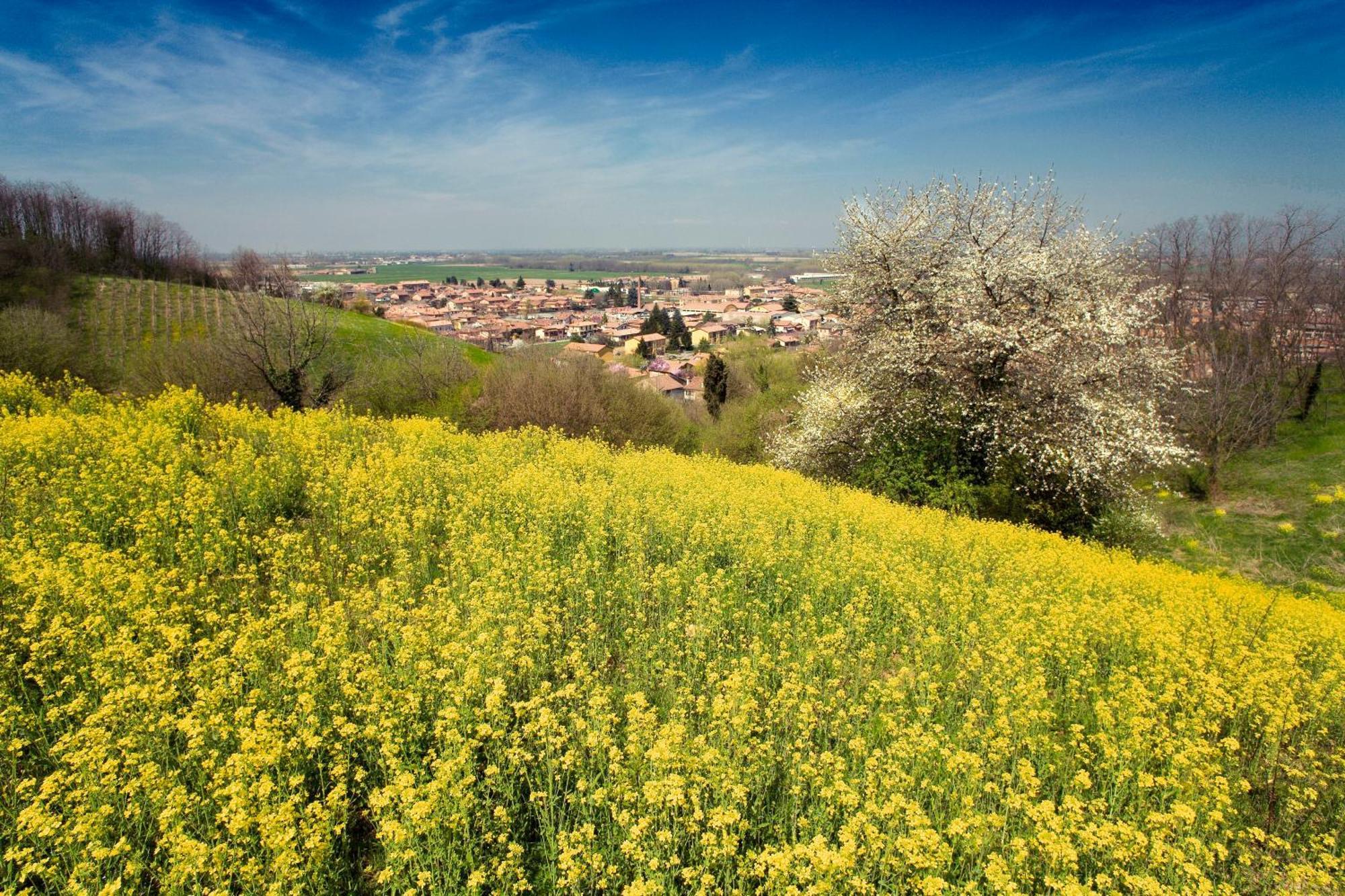 Bed & Breakfast Sforza 19 San Colombano al Lambro Extérieur photo